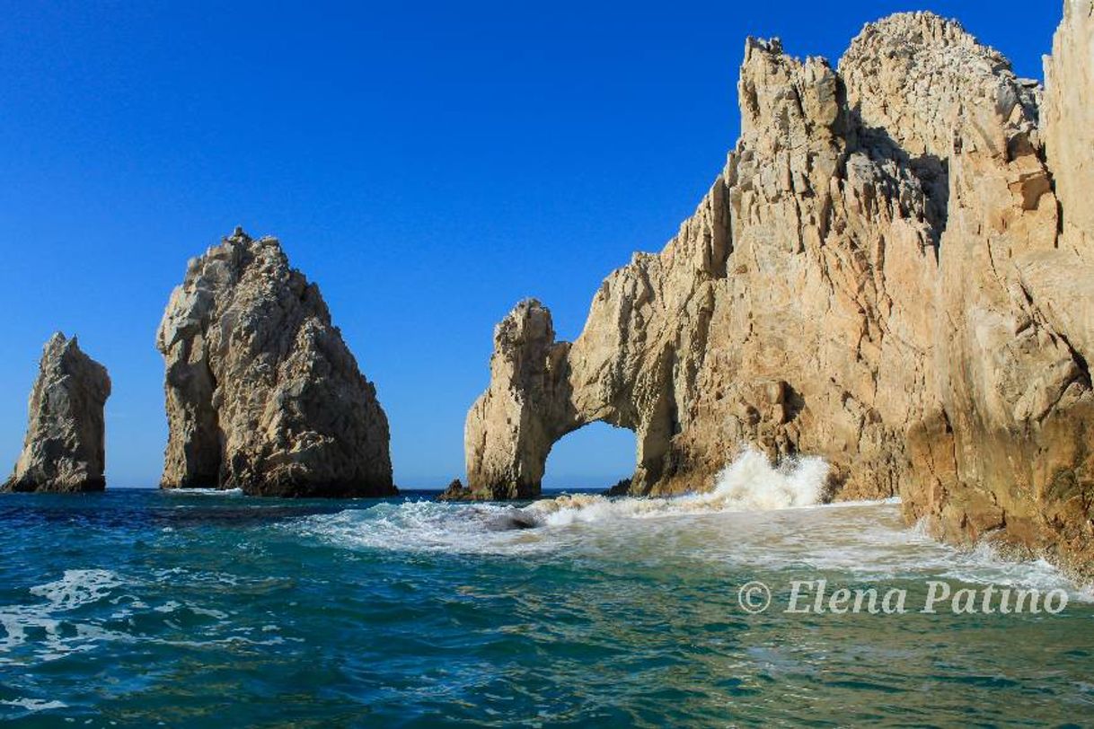 Place Los Cabos