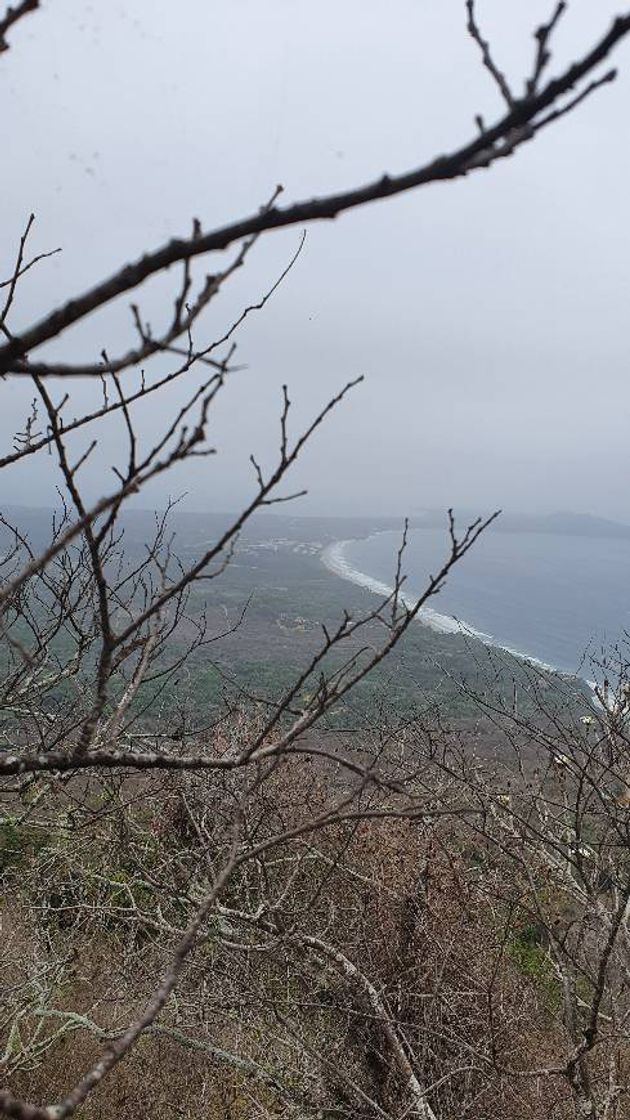 Lugar Cerro del mono