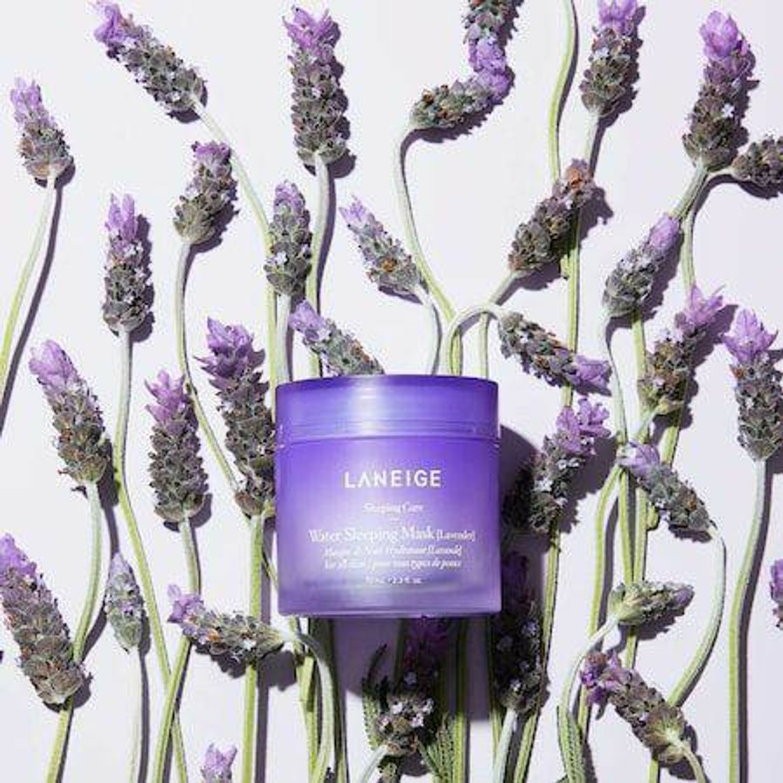 Social Máscara de Água para dormir Lavanda- LANEIGE  SEPHORA