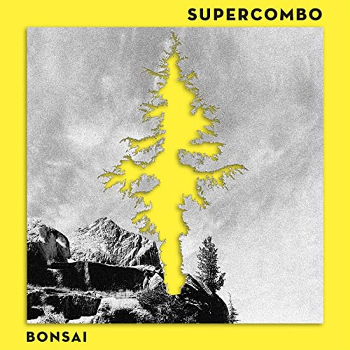 Canción Bonsai