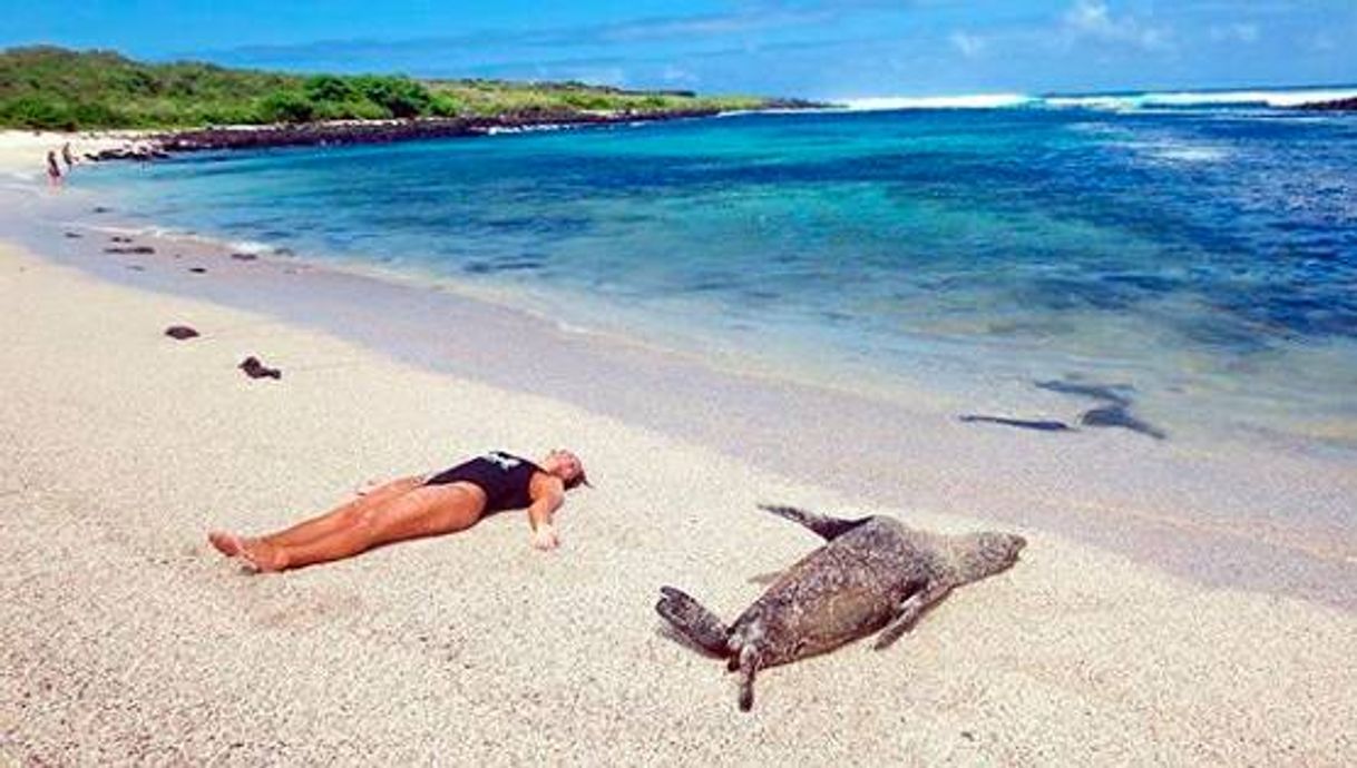 Lugar Galapagos