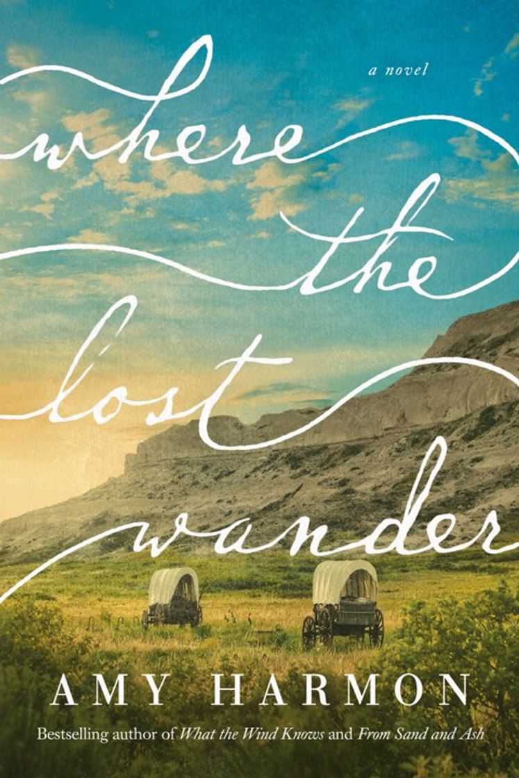 Books Where the lost wander: A novel