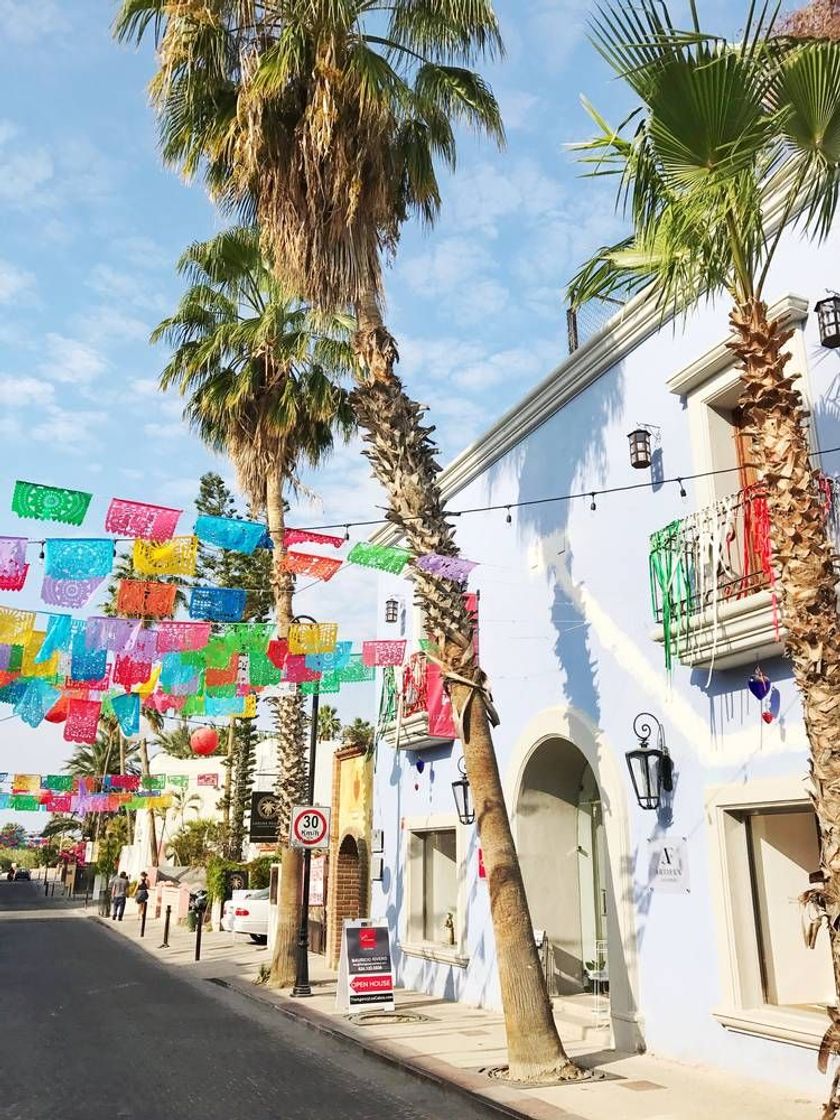 Place San José del Cabo