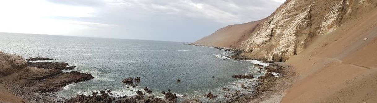 Place Arica