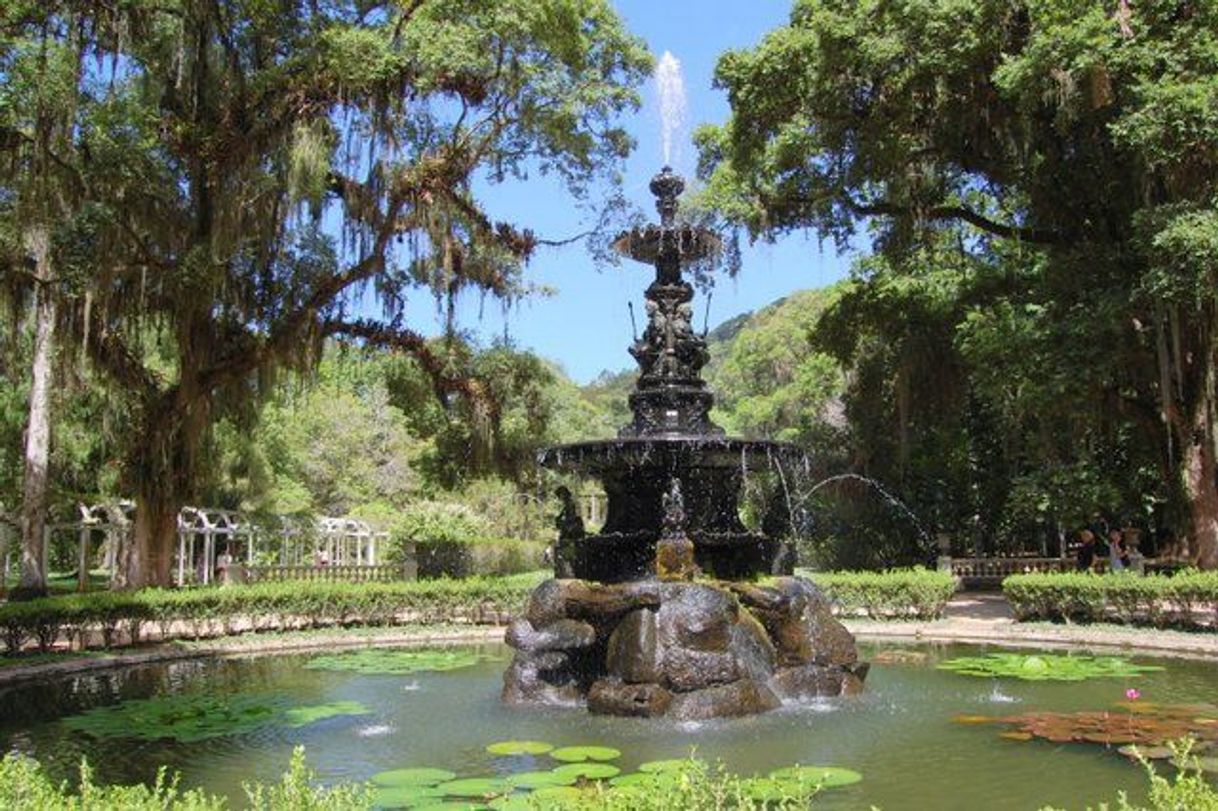 Place Jardim Botânico do Rio de Janeiro