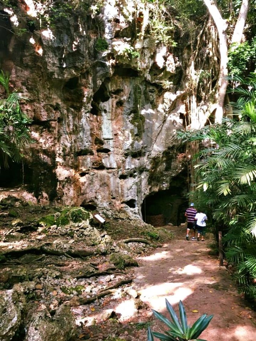 Lugar Grutas de Loltún