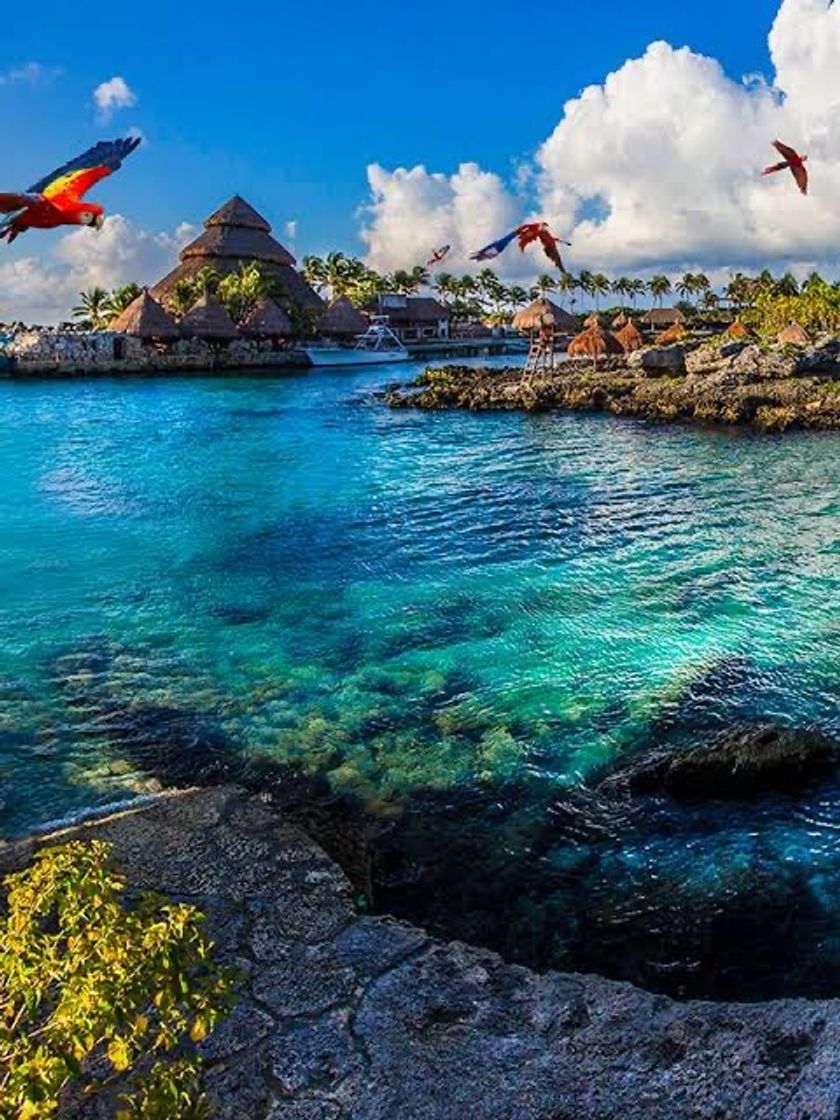 Place Xcaret