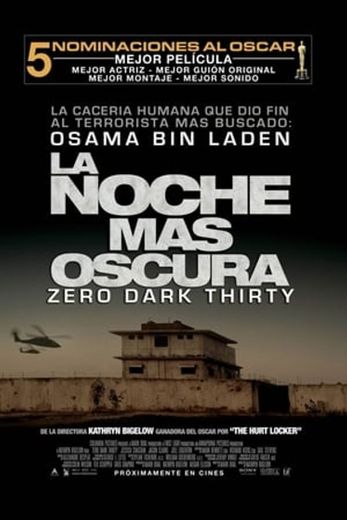 Zero Dark Thirty