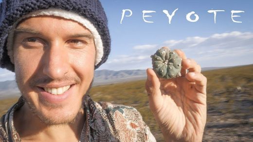 PEYOTE | MEXICO 