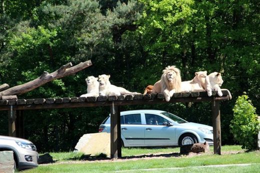 Zoo Safaripark Stuckenbrock