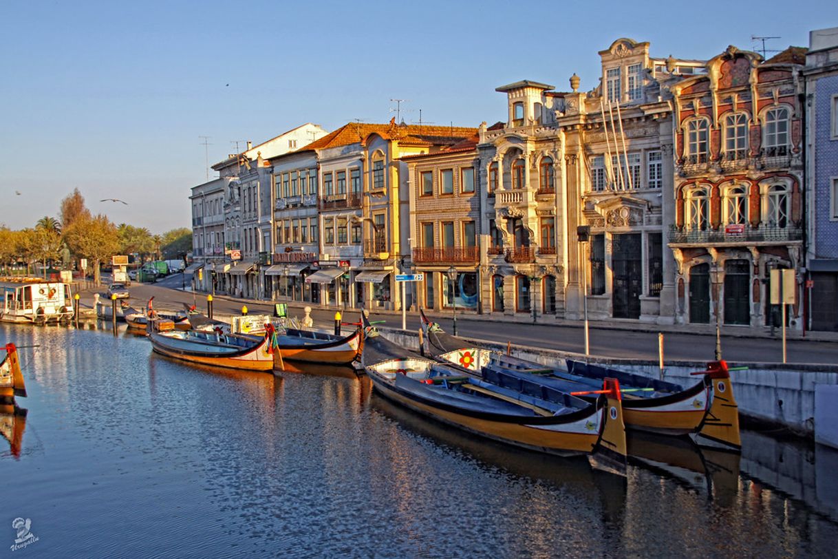 Moda Aveiro (Venecia Portuguesa) 