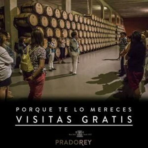 Visita gratis a Bodega + Degustación de vino, queso y aceite 