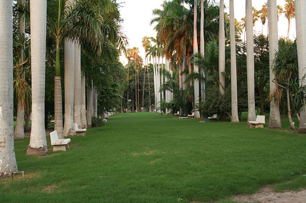 Lugar Parque Sinaloa