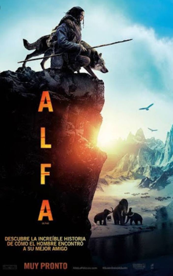 Movie Alpha