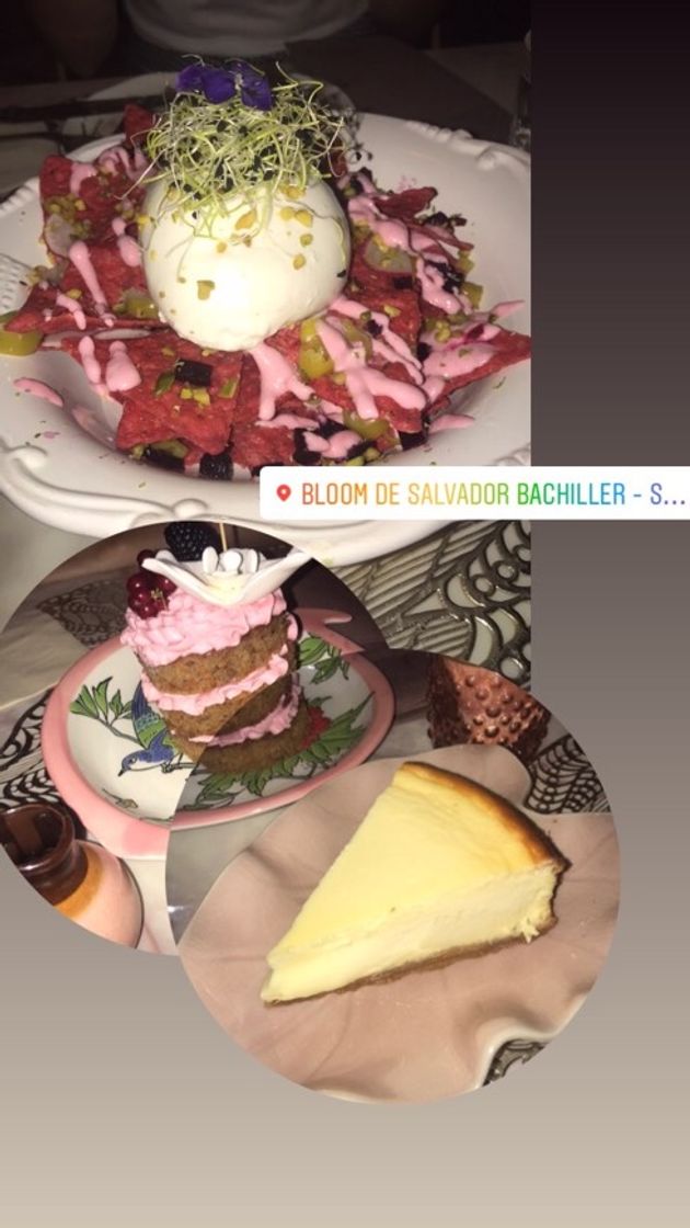 Restaurants Salvador Bachiller