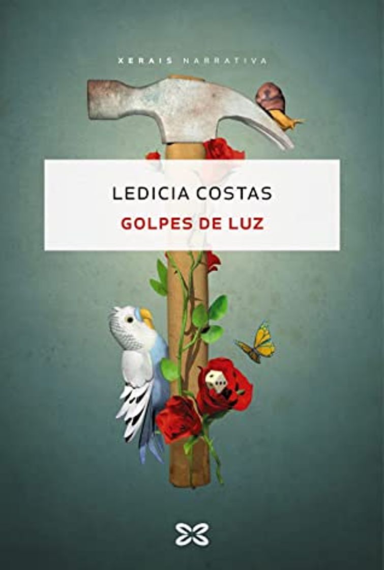 Book Golpes de luz