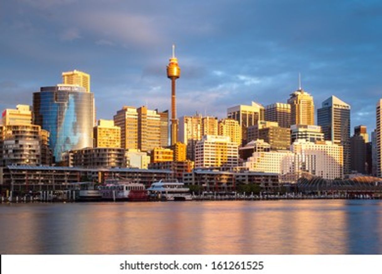 Places Sydney Tower Eye