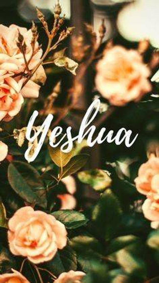 Fashion Yeshua