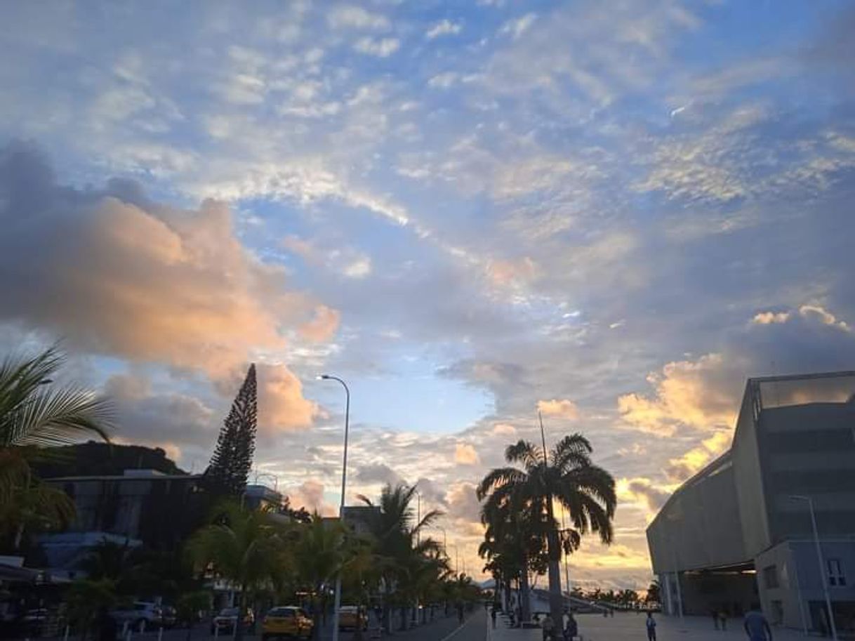 Lugares Playa las palmas 