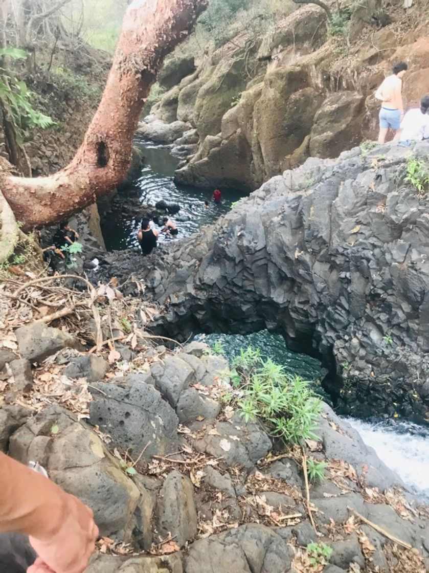 Restaurantes Nayarit
