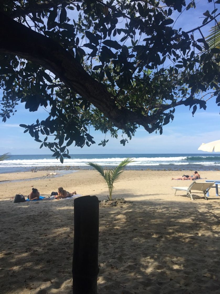 Lugar Sayulita