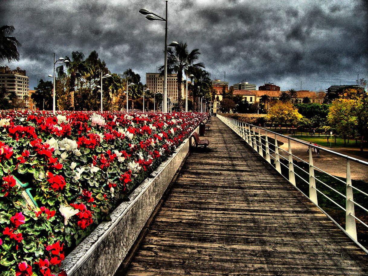 Place Puente de las Flores