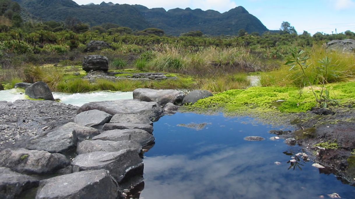 Places Puracé National Natural Park