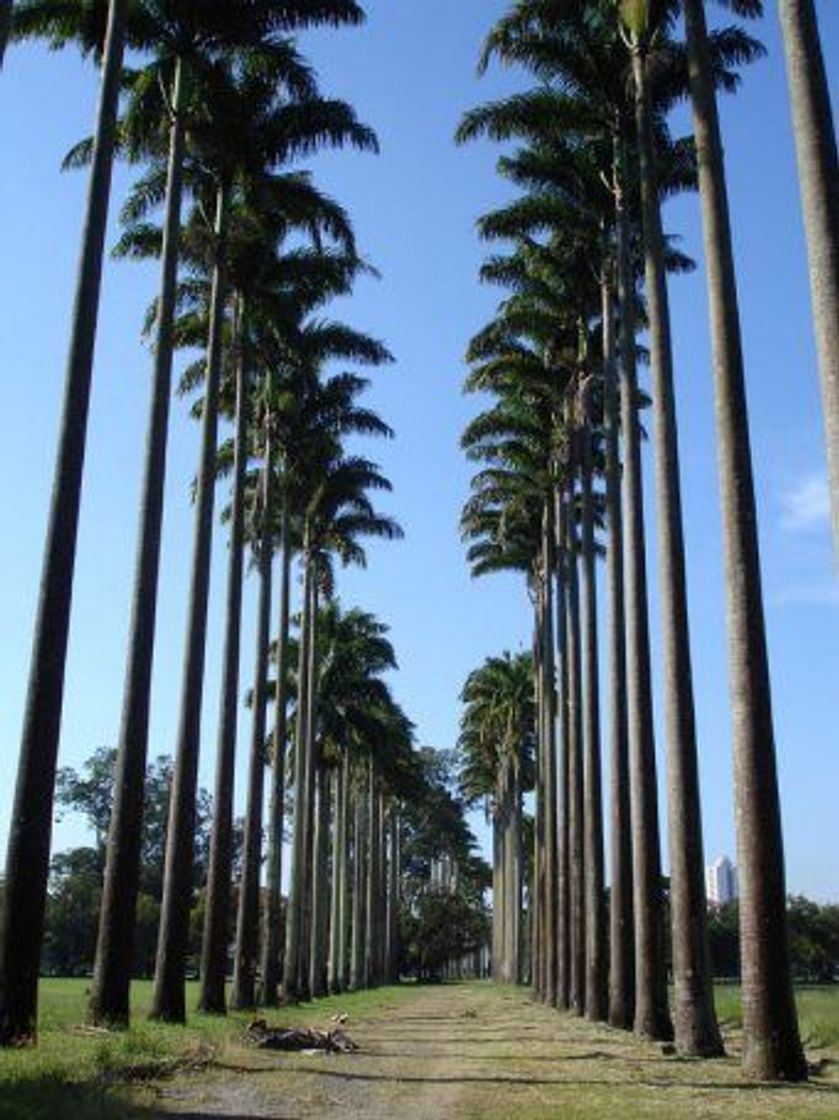 Lugar Parque Da Cidade - São José Dos Campos