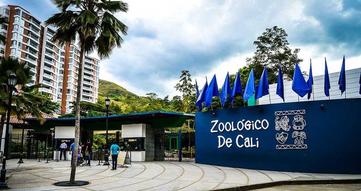 Lugar Zoológico de Cali