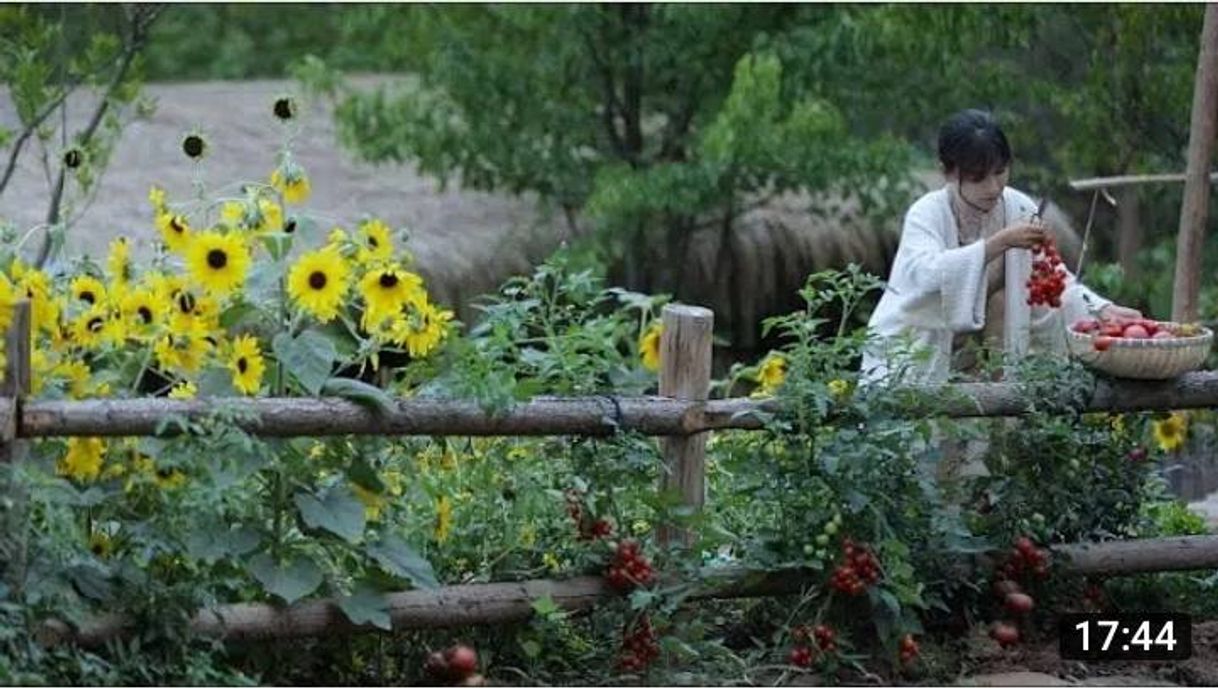 Moda Liqizi: Huerto y preparación de vegetales del huerto