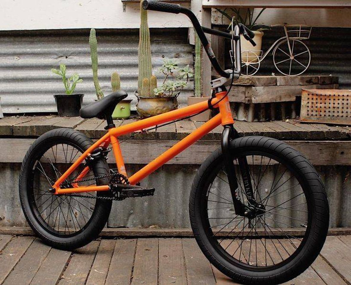 Moda Bmx kink