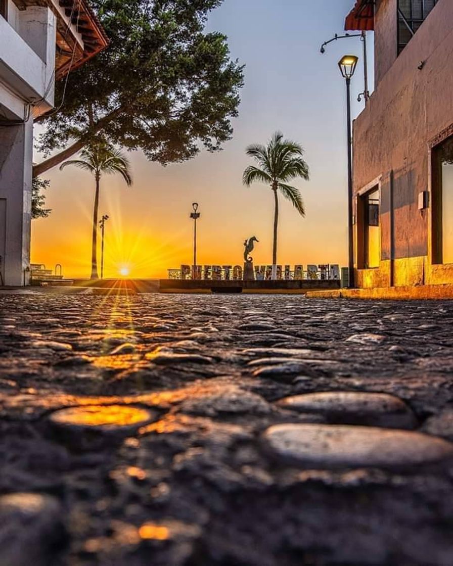 Lugar Puerto Vallarta