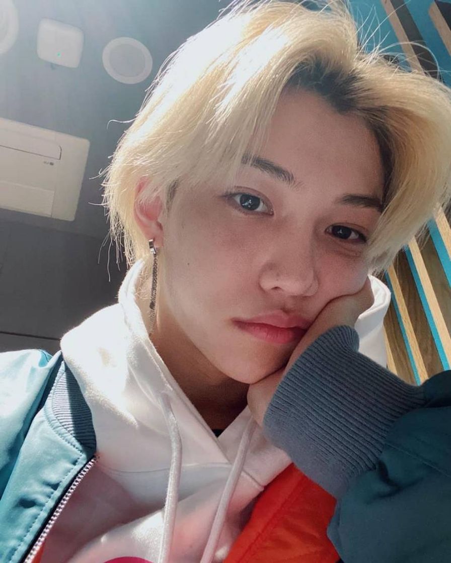 Social felix selcas