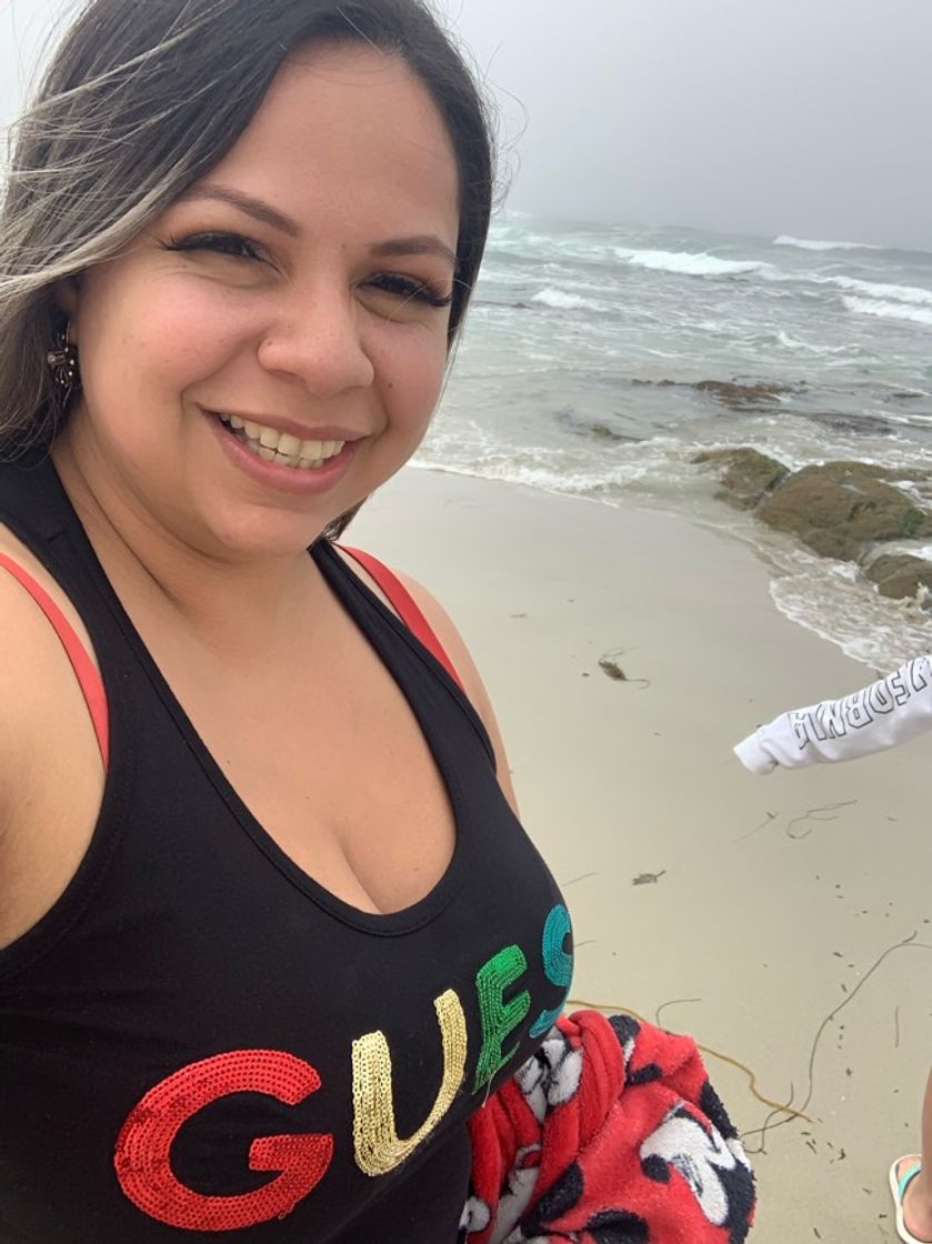 Place Monterey