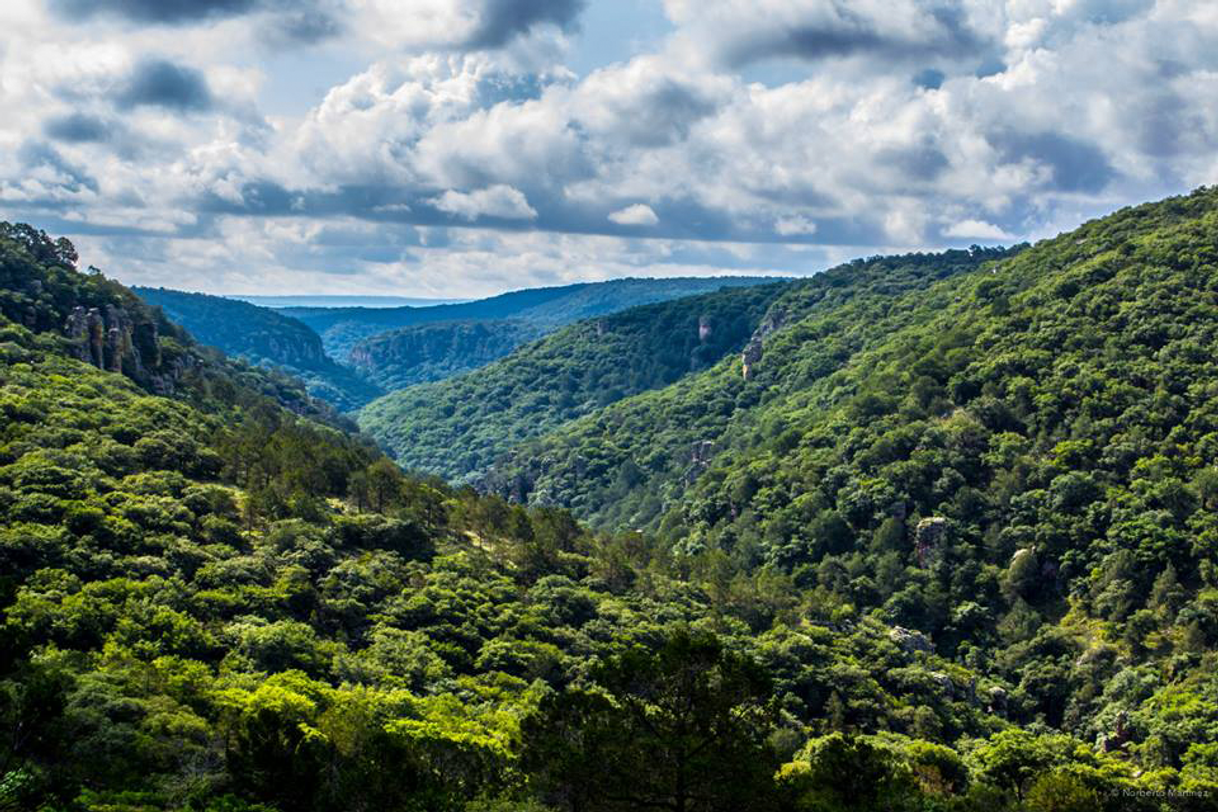 Lugar Sierra de Lobos