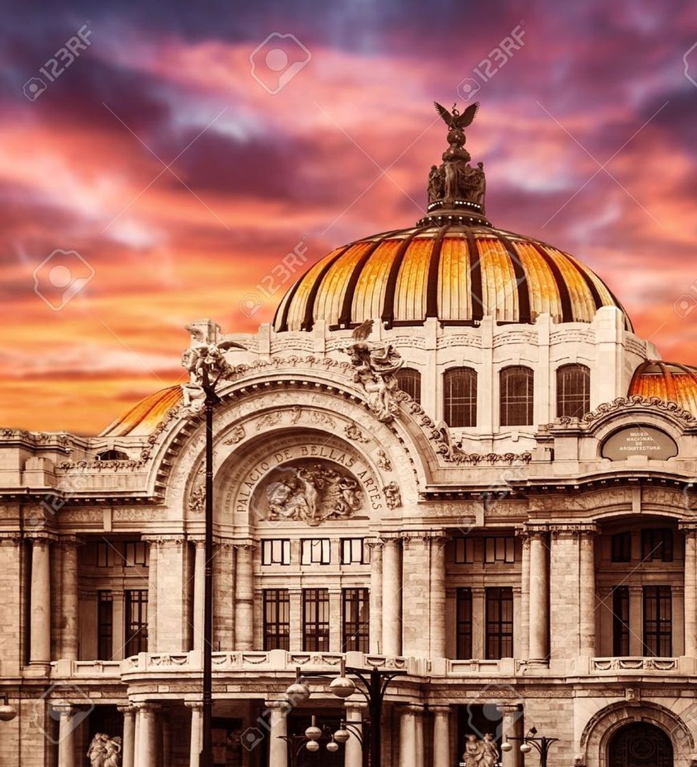 Lugar Palacio de Bellas Artes