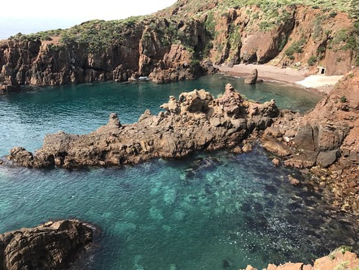 Lugar Arbolitos Cove