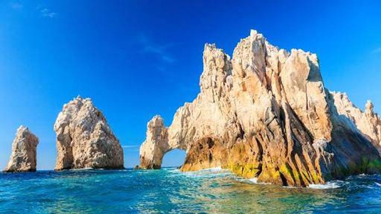 Place Los Cabos