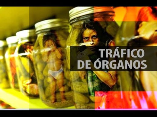 El negocio del tráfico de órganos en México Documental - YouTube