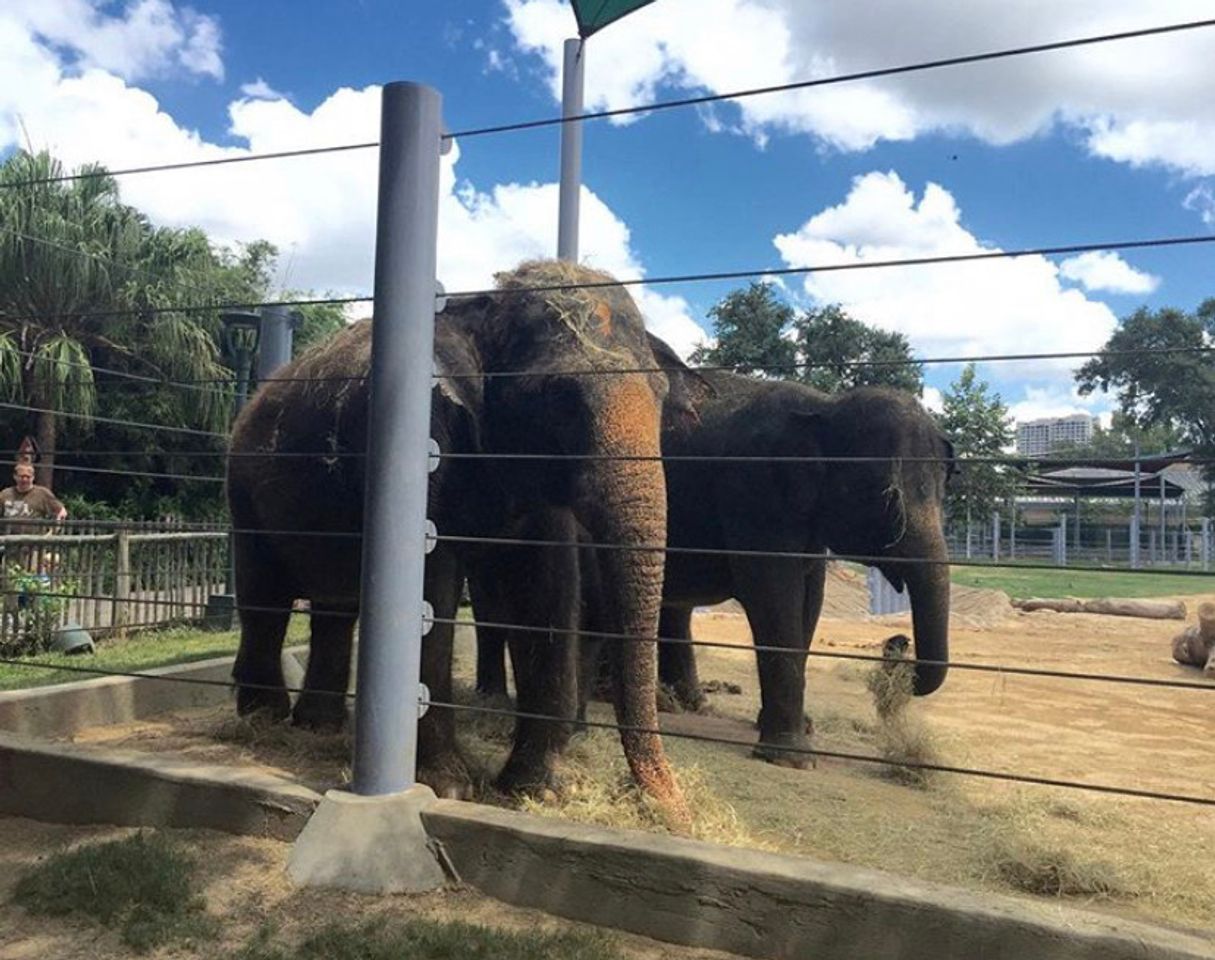 Place Zoológico de Houston