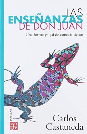 Enseñanzas de Don Juan bolsillo