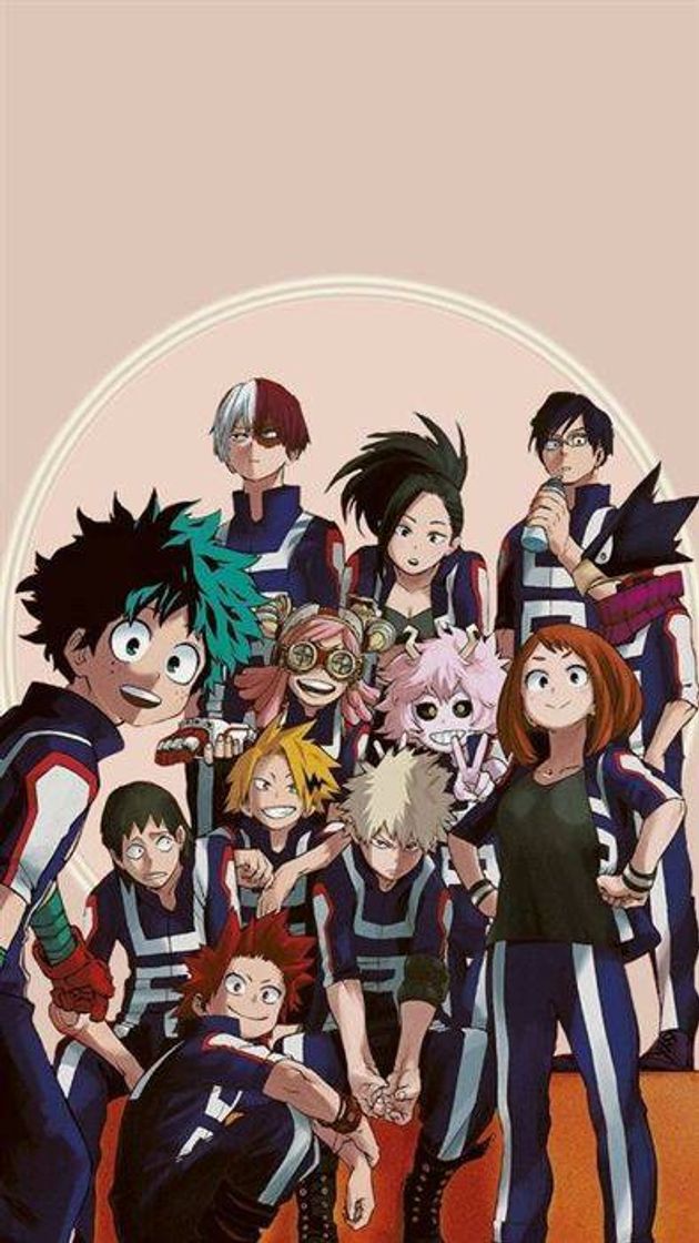 Serie boku no hero academia