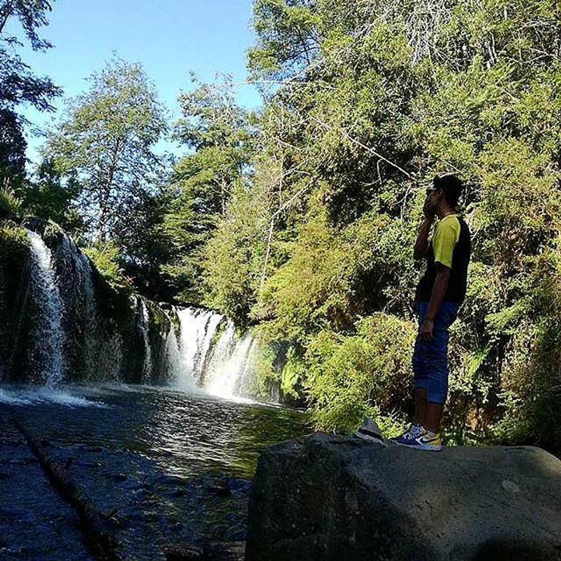 Place Lago Ranco