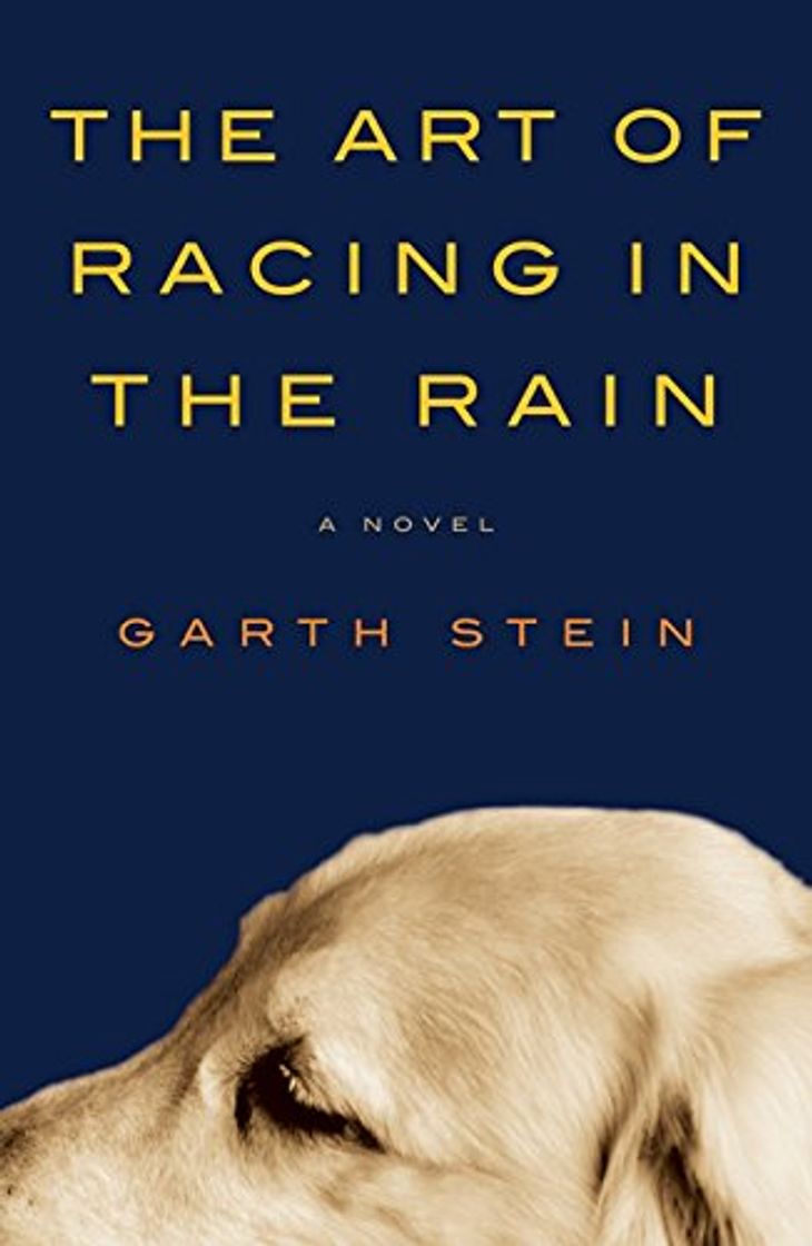 Libros The Art of Racing in the Rain