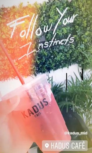 Kadus Café