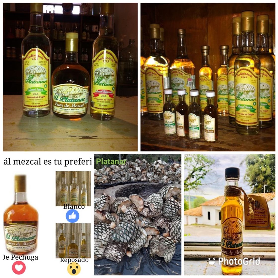 El Platanar