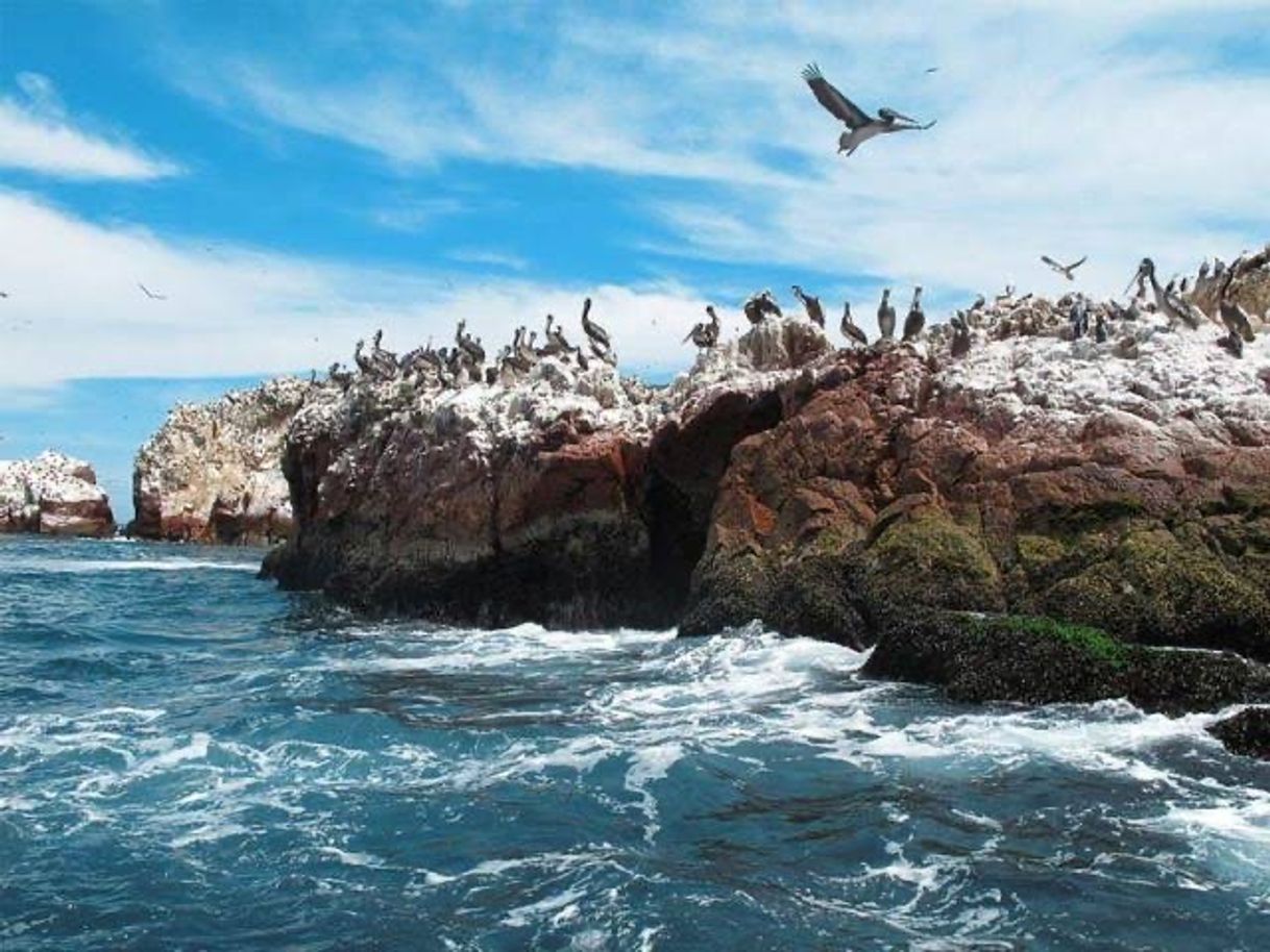 Lugar Islas Ballestas