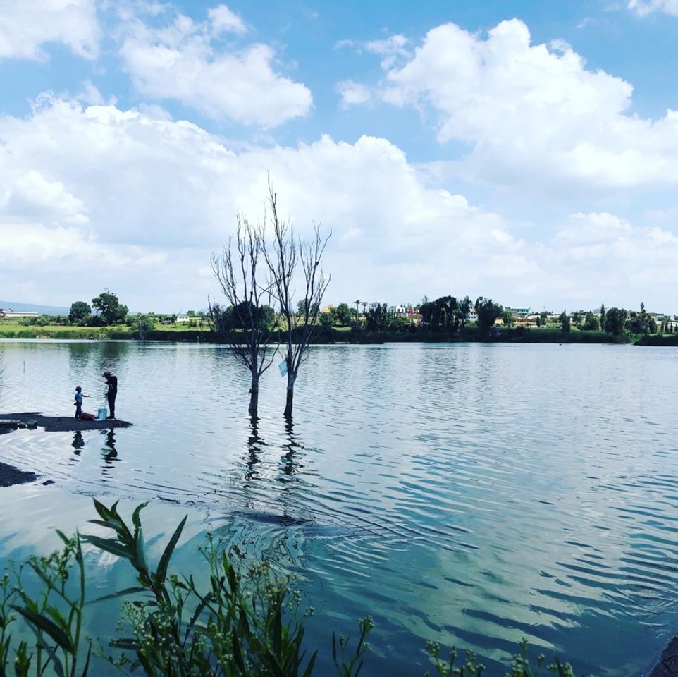 Places Laguna de Acuitlapilco