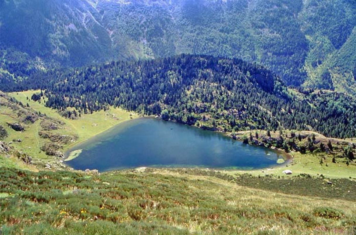 Place Estany de Font Viva