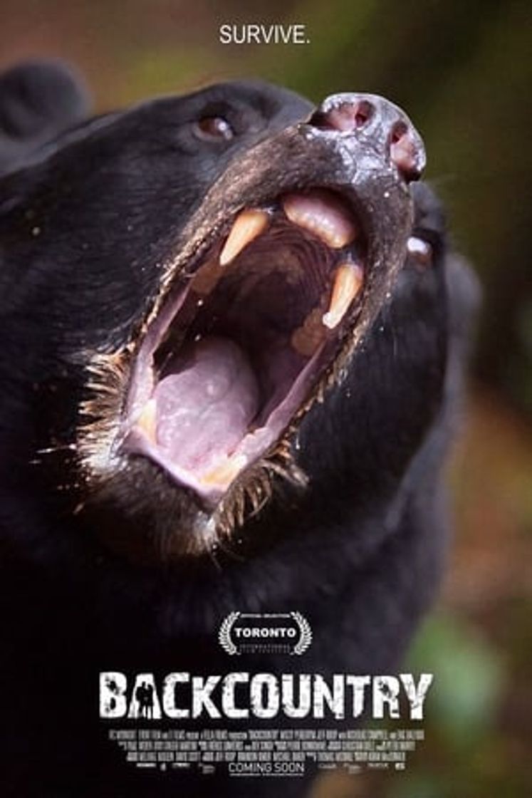 Movie En el bosque sobrevive